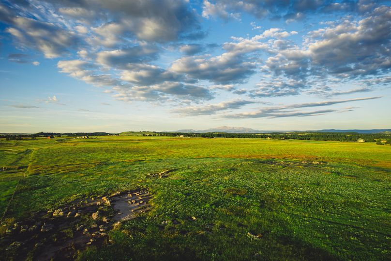 Douglas CO 35 Prettyman - 04