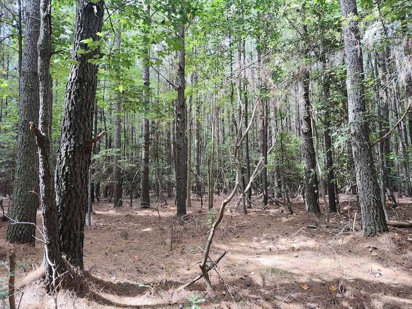 IMG_20250830_121409567