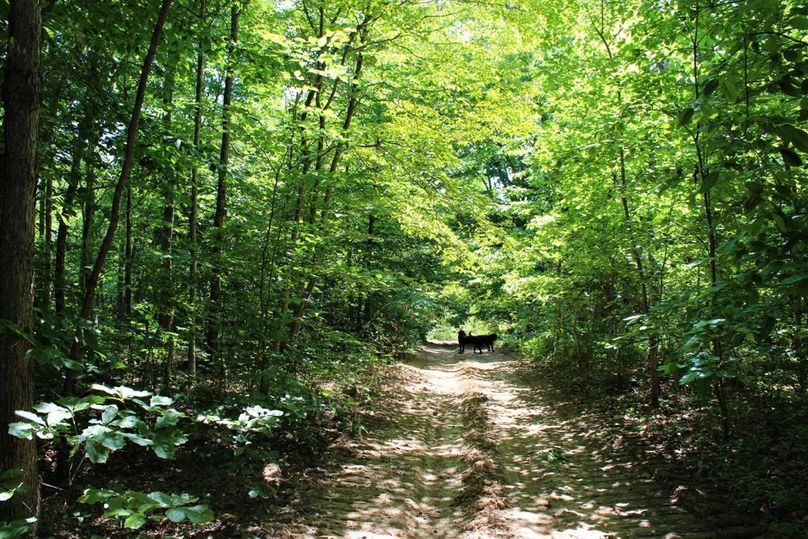 004 the dirt road leading into the southwest corner of the property