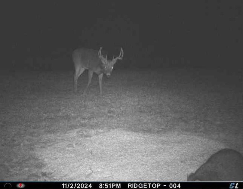 trail cam35