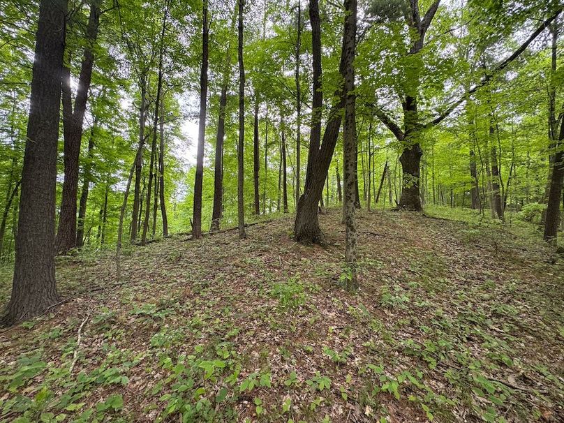 Pleasants, WV 168.59 AC Superior, Swank, Young-090