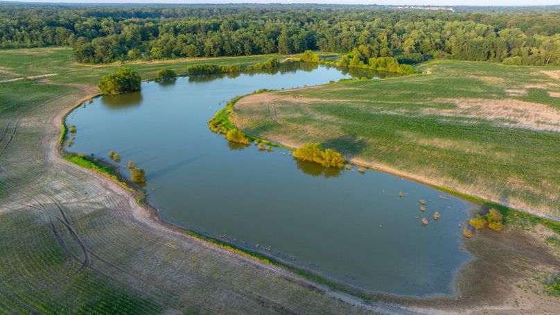 Copy of DJI_20250808062435_0059_D Large