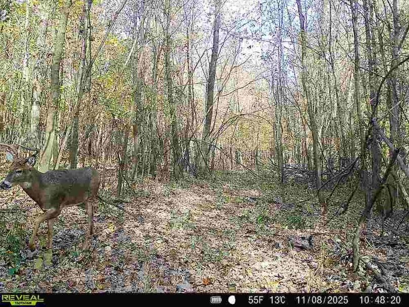 860516067504427-70-2-11082025104820-V-W1002595