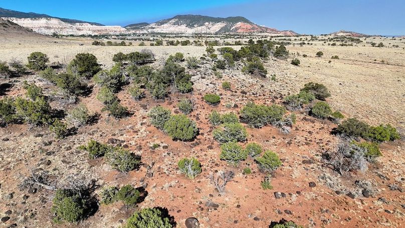 DJI_20250620084439_0198_D