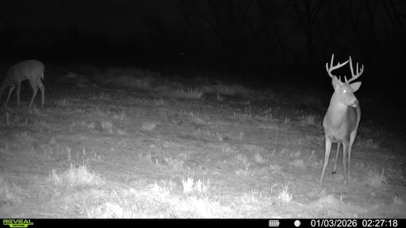 016687000749099-92-4-01032026022718-SYFW04495