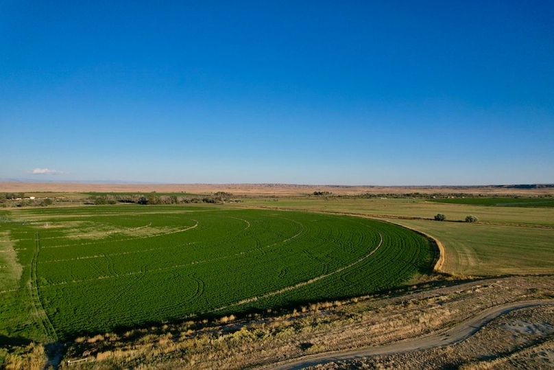 169EA8D6-69E8-4814-B10D-2356999B6724_1_105_c