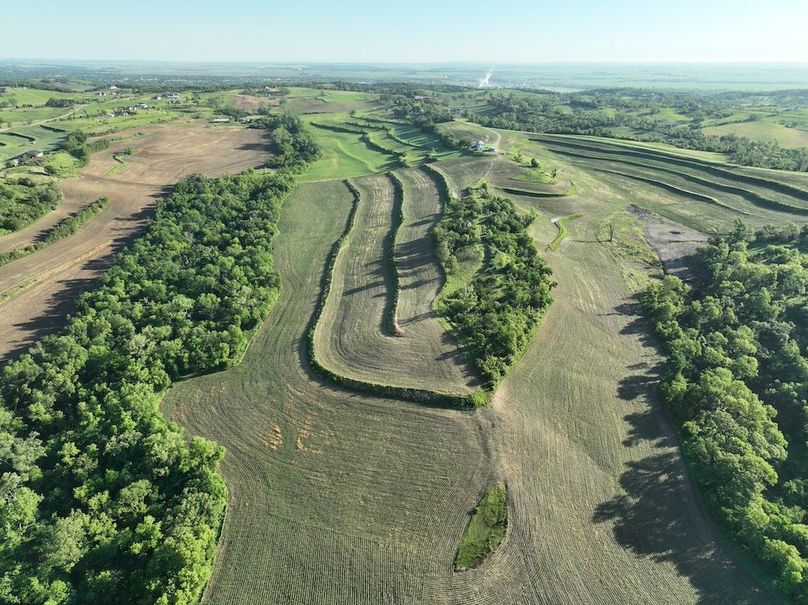 dji_fly_20260601_075304_509_1780319357642_photo