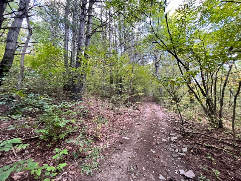 Tioga_20_Peters Photo 19