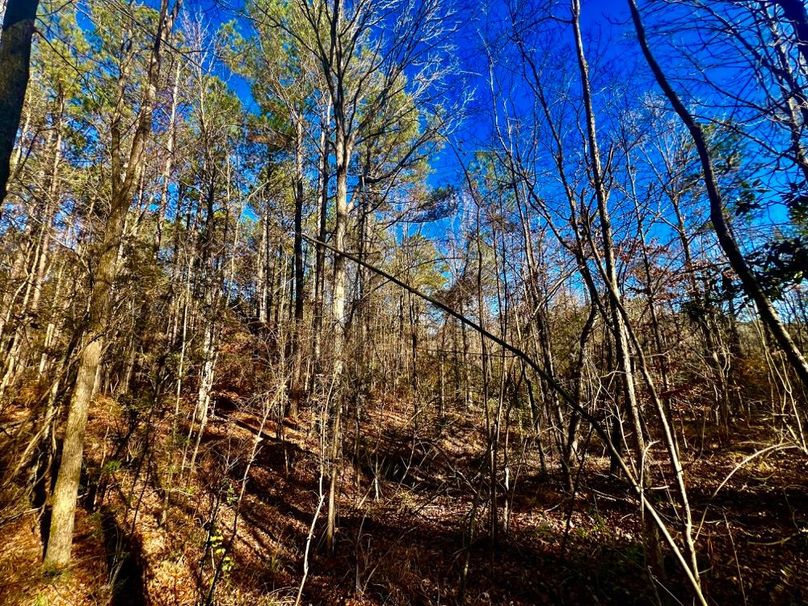 638CB5E8-715B-4CCB-87AD-0CCF7EF17183_1_201_a