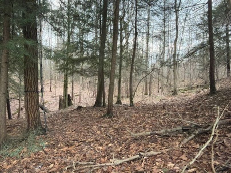 4E819CC7-F258-43C4-8D58-AB02413EB5C1_4_5005_c