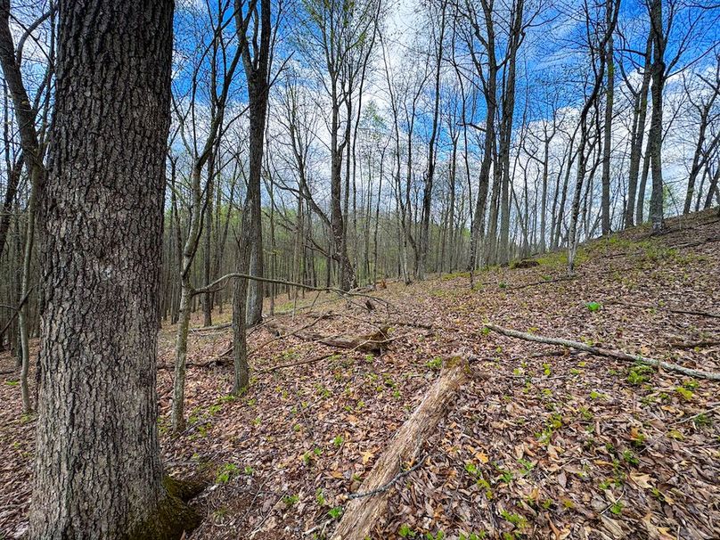 Calhoun, WV 132.84 AC Szegi 2-110