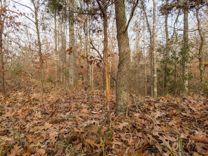 Claiborne Co - 274 - Marian-019