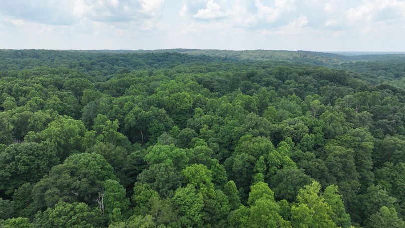 dji_fly_20240711_133314_0222_1720719605839_photo