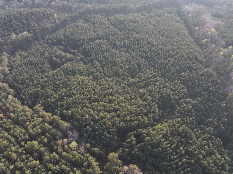 012FE - 83 Acres - Drone-5