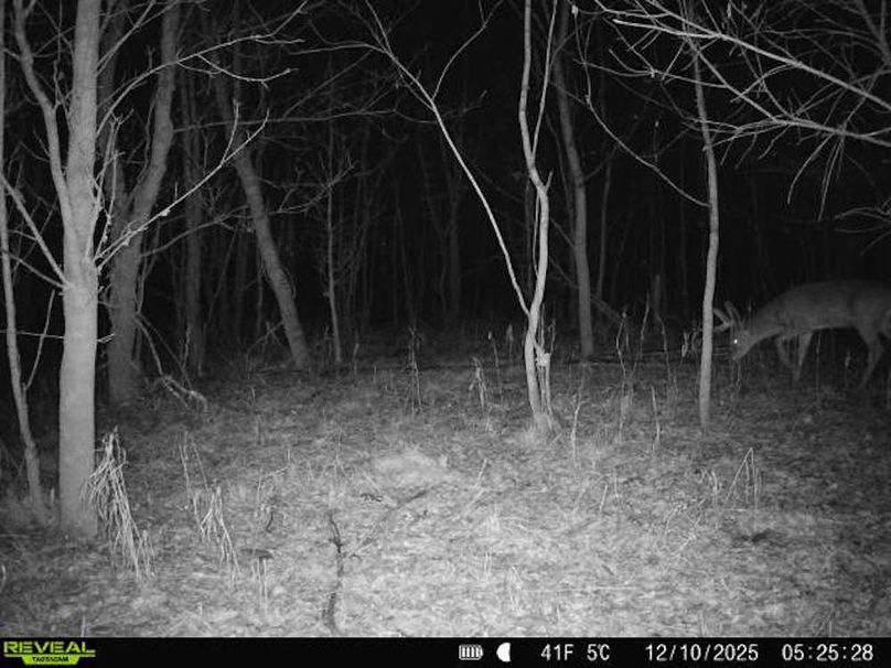 860516067589287-50-2-12102025052528-V-W1000183