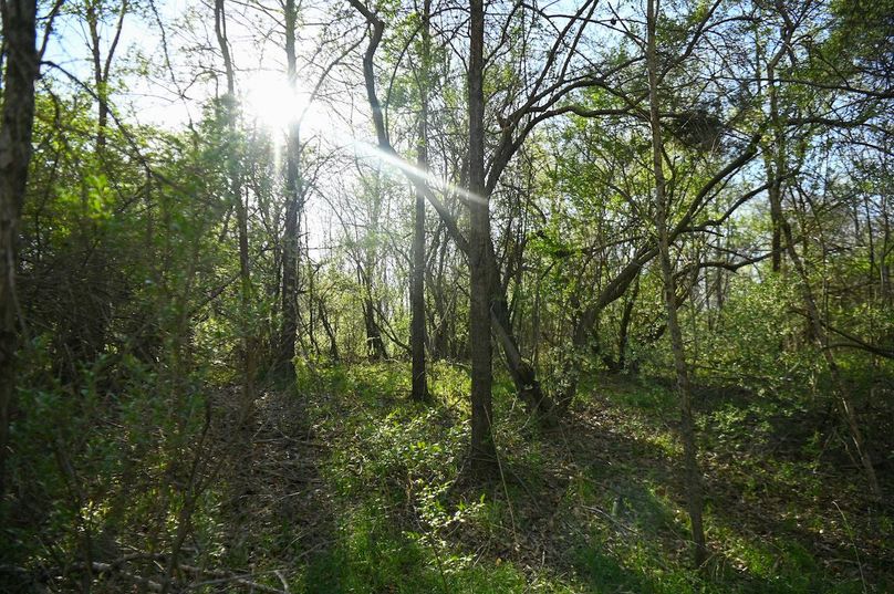 vandalia 450 (2)-2457