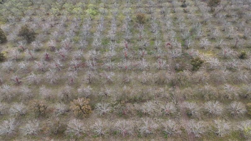 dji_fly_20251107_043222_0038_1762484039211_photo