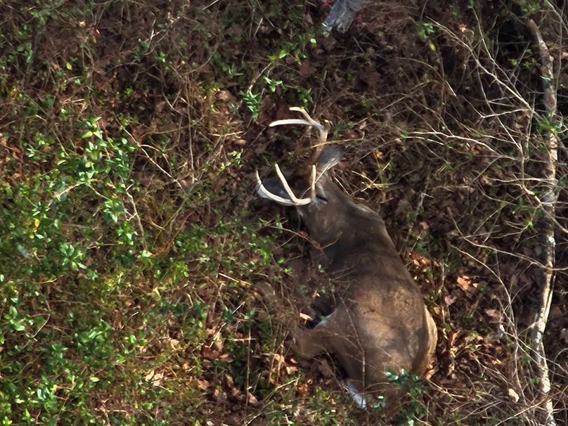 1-DJI_20251201124705_0005_Z