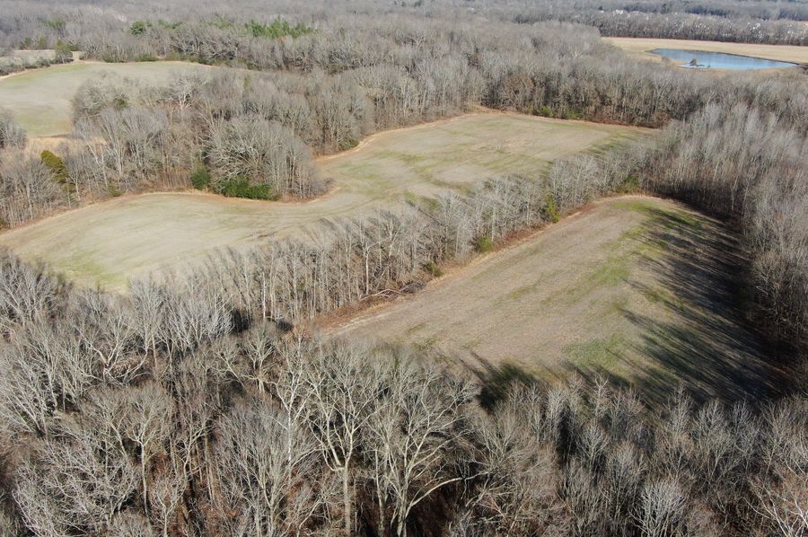Bottom Fields