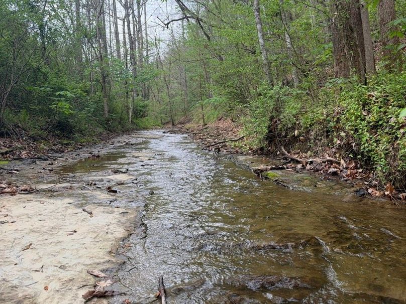 018 Stream as the Road Meanders Back and Forth Through It