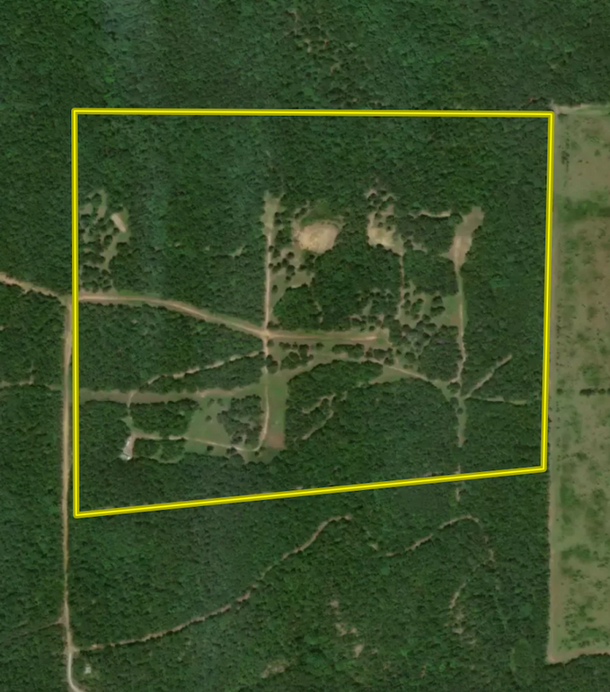 Screen Shot 2024-03-06 at 11.45.19 AM