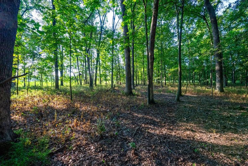 Copy of DSC06188 Large