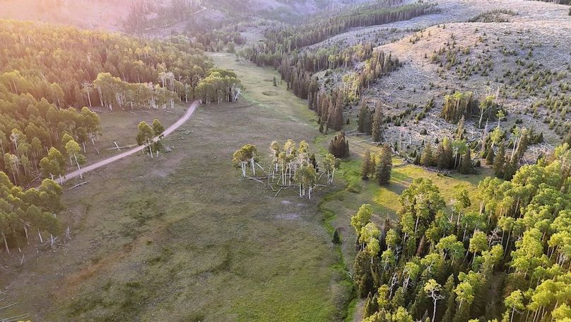 DJI_20250628063052_0123_D