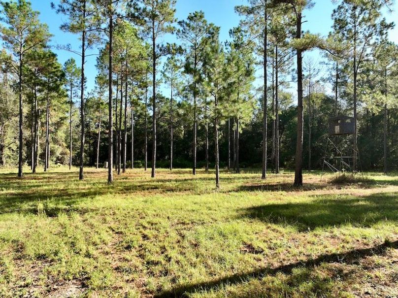 dji_fly_20251013_100336_274_1760364564477_photo