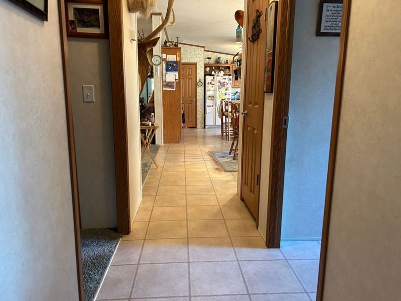 pic 80.1