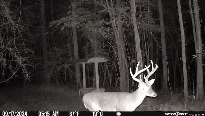 Tallahatchie 847 Trail Cam (JPG)-12