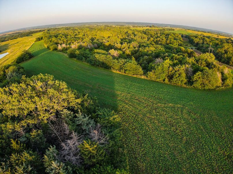 DJI_20250723200440_0403_D