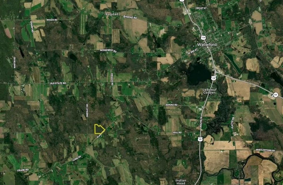 Screen Shot 2025-05-05 at 12.03.01 PM