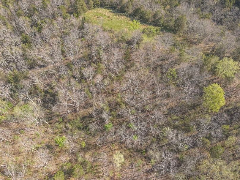 8-DJI_20260412101500_0012_W