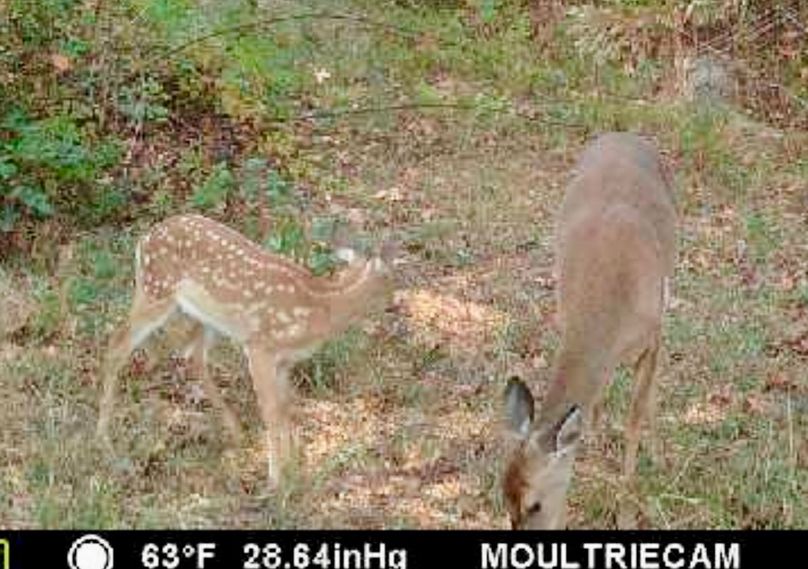 Screenshot_20231030_080340