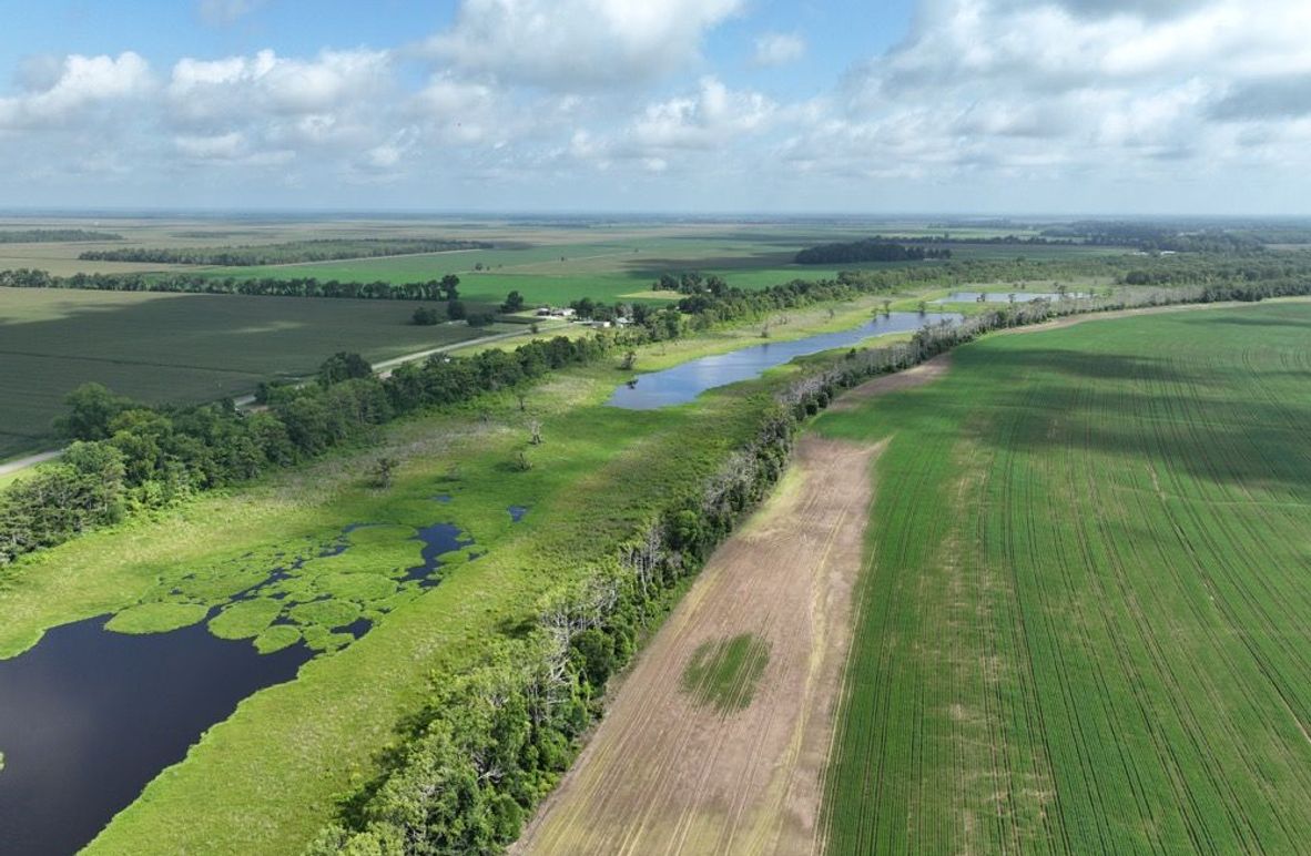 dji_fly_20250620_095546_2_1750611707480_photo