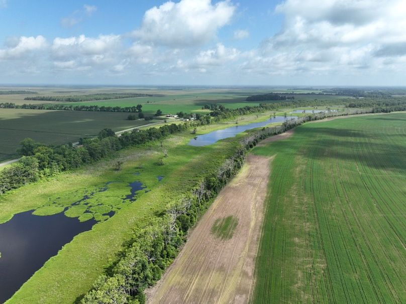 dji_fly_20250620_095546_2_1750611707480_photo