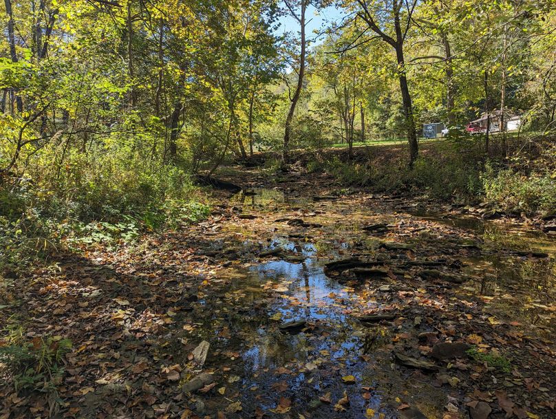 PXL_20231004_164637799