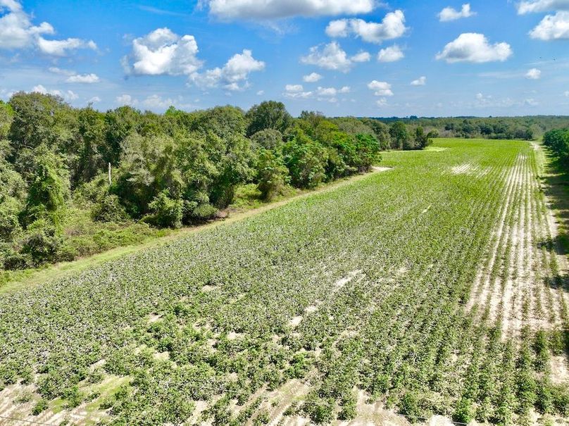 dji_fly_20240918_125214_801_1726678393047_photo