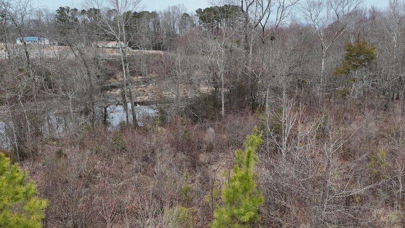 dji_fly_20260218_164838_0046_1771452051063_photo