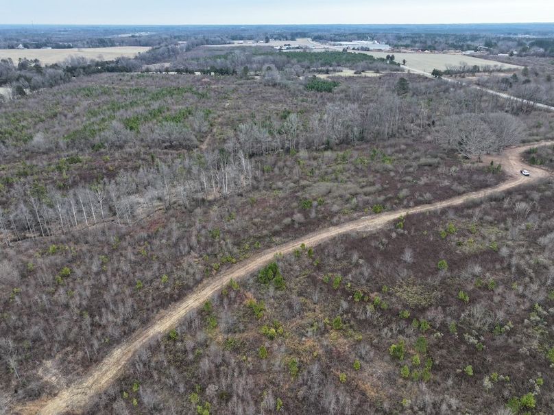 dji_fly_20251224_112800_0189_1767705796601_photo