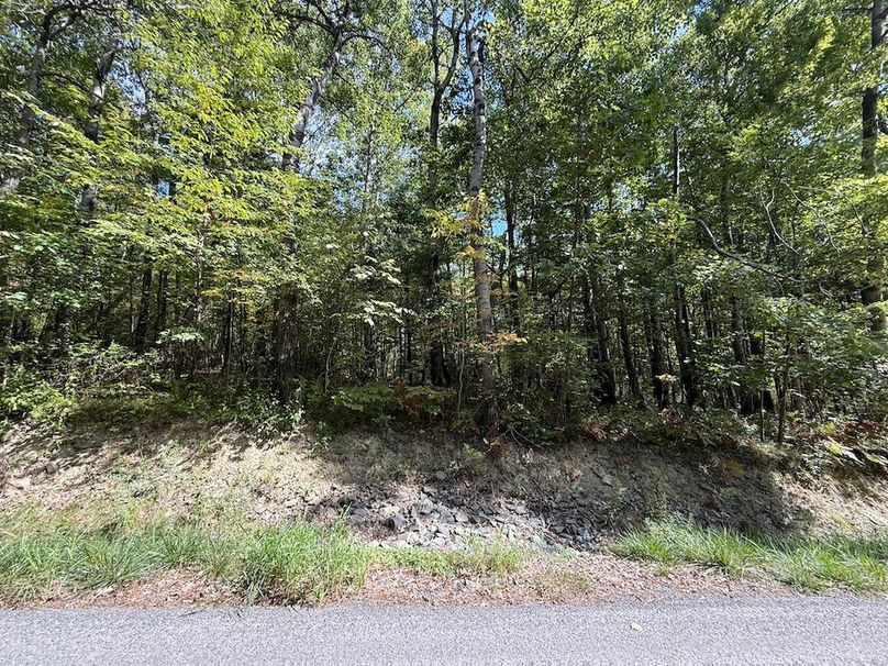 Chemung_20.82_Meyers Photo 27