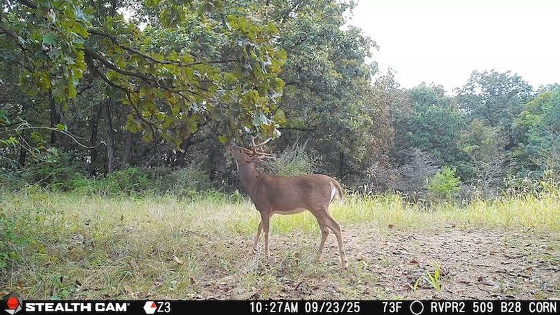 2025092310270801001029_ColorizationType.none