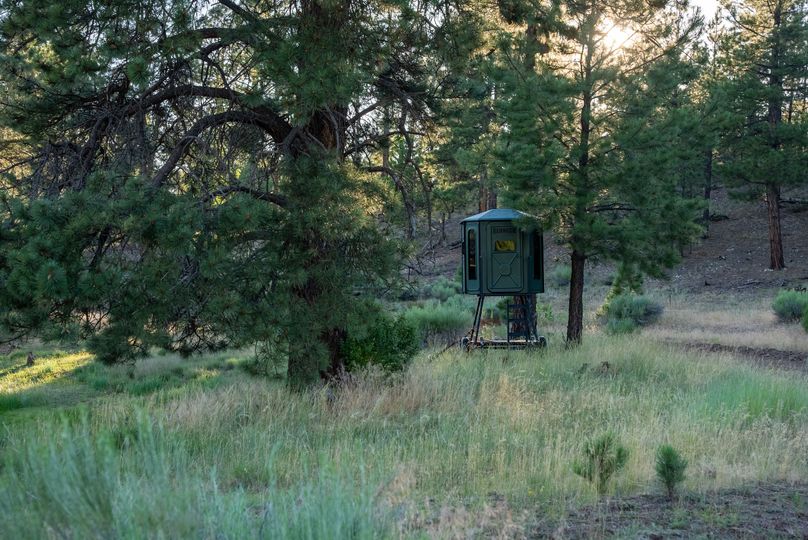 Cibola NM 13,053--98