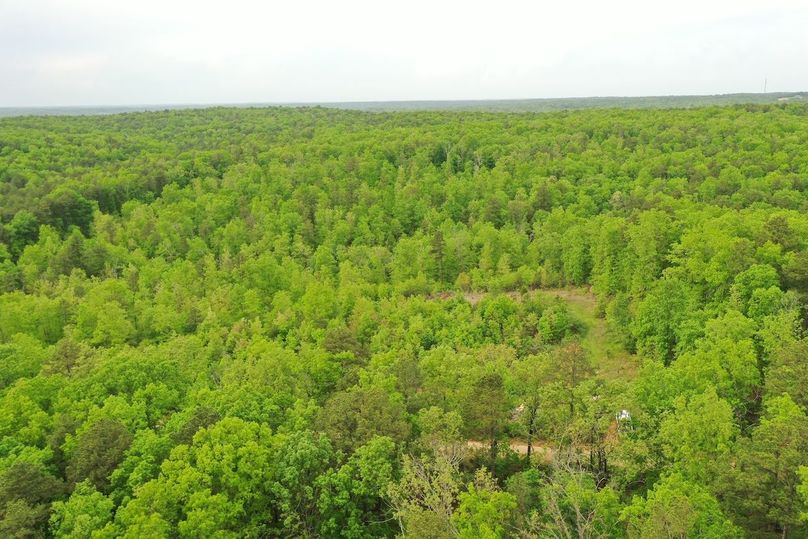 DJI_0804