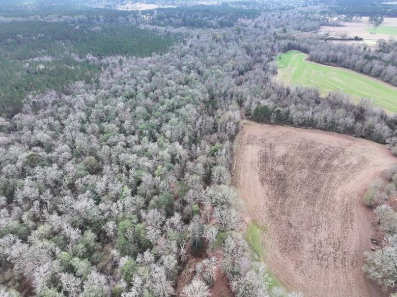 dji_fly_20260122_123524_0878_1769444803720_photo