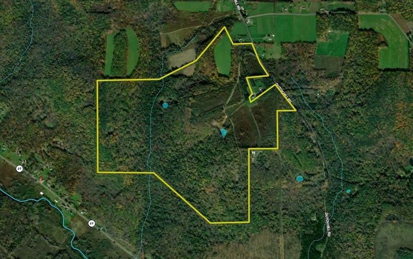 Screen Shot 2024-06-26 at 10.37.27 AM