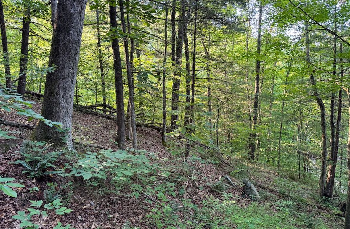 Ritchie, WV 92 AC Thompson-05