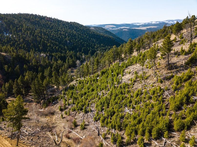 20250410-DJI_0016