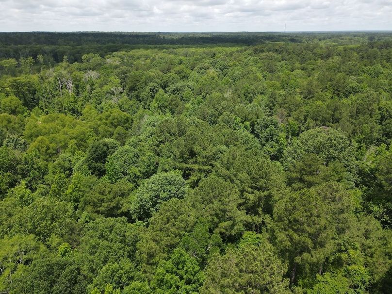 DJI_0261