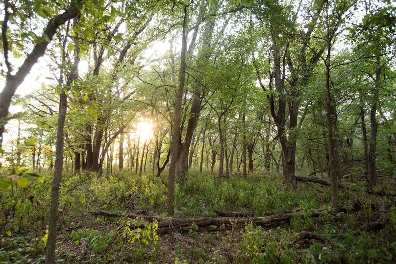 Copy of POTTAWATTAMIE CO IA 311 TRACT 3_5